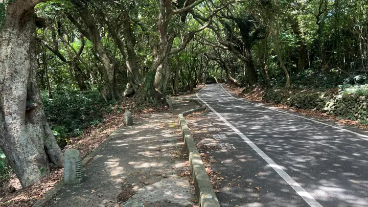 白山洞門への行き方 遊歩道