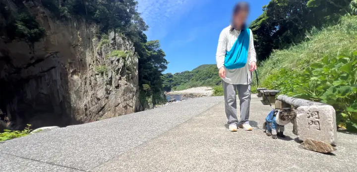 白山洞門に行った猫