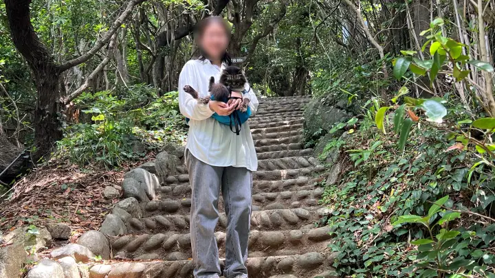 白山洞門へと続く階段と猫のトラちゃん(ペット)