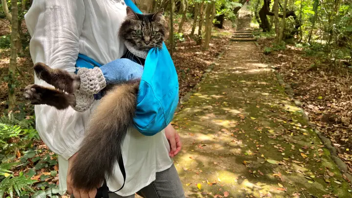 白山洞門への行き方