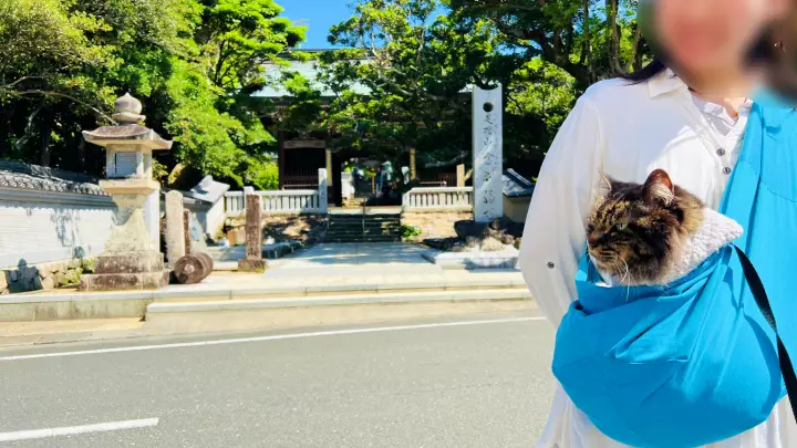 金剛福寺 入り口 猫(ペット)と参拝