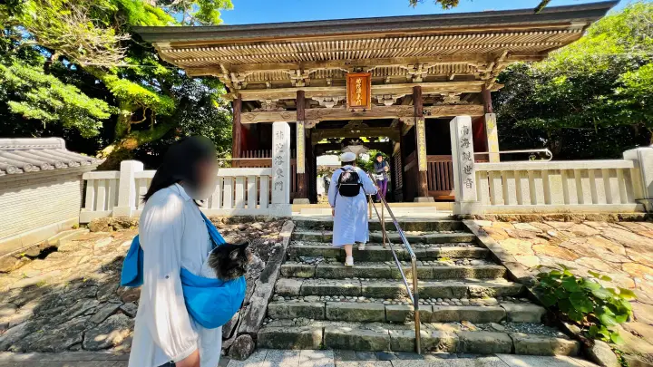 金剛福寺 猫(ペット)と仁王門