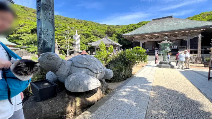 金剛福寺 猫(ペット)と本堂前