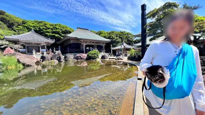 金剛福寺 猫(ペット)と池泉庭園