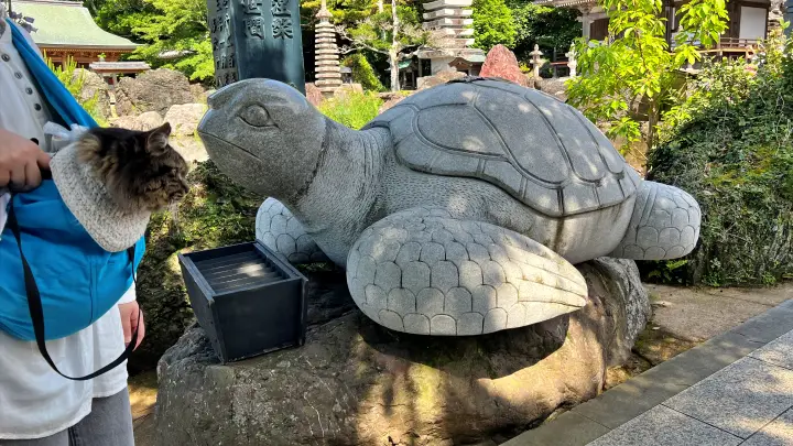 金剛福寺 亀と猫(ペット)