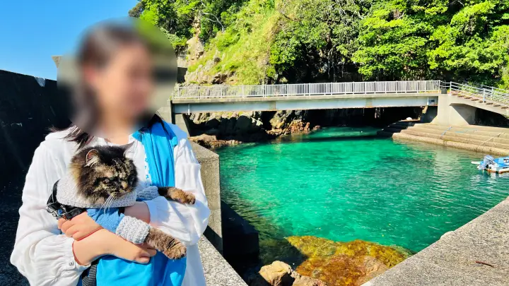 【松尾漁港・青の洞窟・海老洞】猫(ペット)と行く