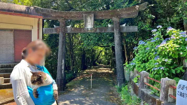 竜宮神社 入り口