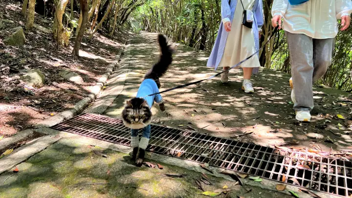 竜宮神社への行き方
