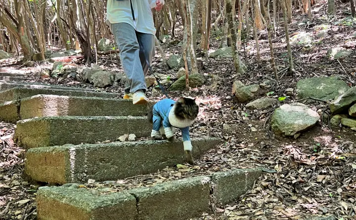 竜宮神社への行き方