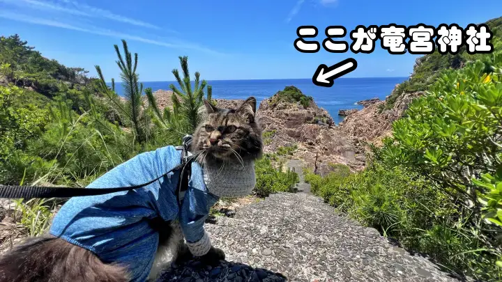 竜宮神社への行き方
