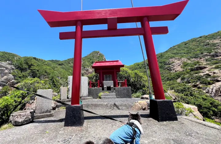 竜宮神社 足摺岬穴場スポット