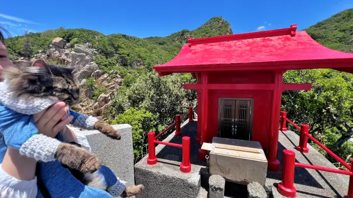 竜宮神社 足摺岬穴場スポット