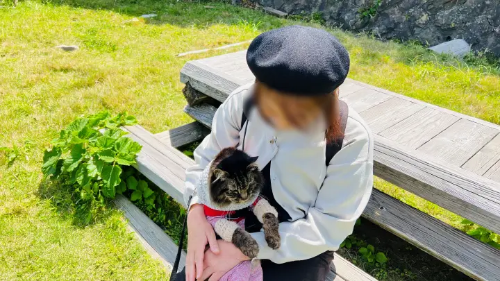 かもだ岬 猫（ペット）と飼い主