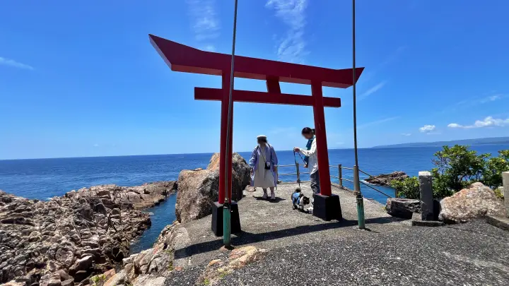 愛猫トラちゃんと訪れた足摺岬の竜宮神社と太平洋の絶景