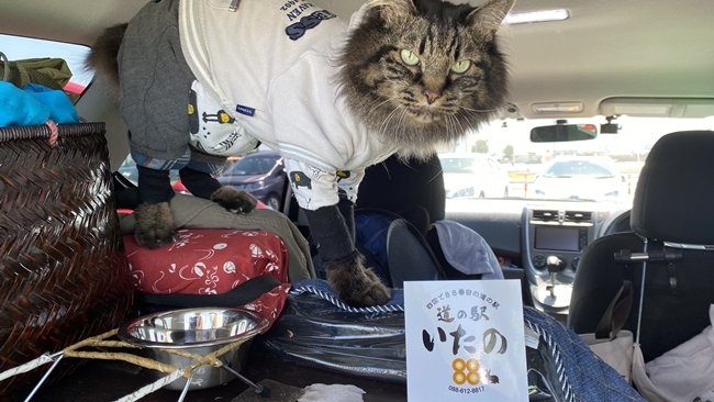 新しい道の駅に立ち寄りました♪ 道の駅いたの 四国88番目の道の駅です。 ドッグランもあるよ♪