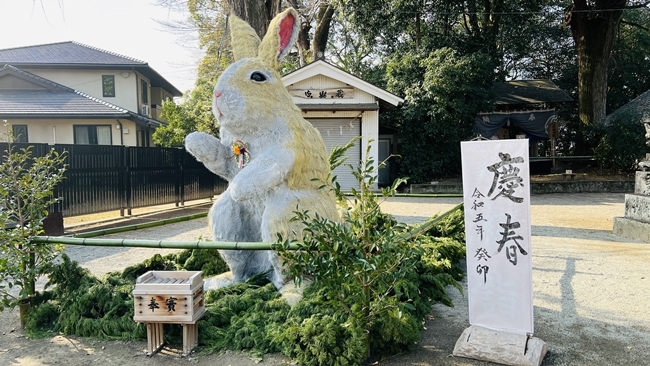 巨大干支(ウサギ)の張りぼてを見に行ってみました♪ 香川県 大宮神社